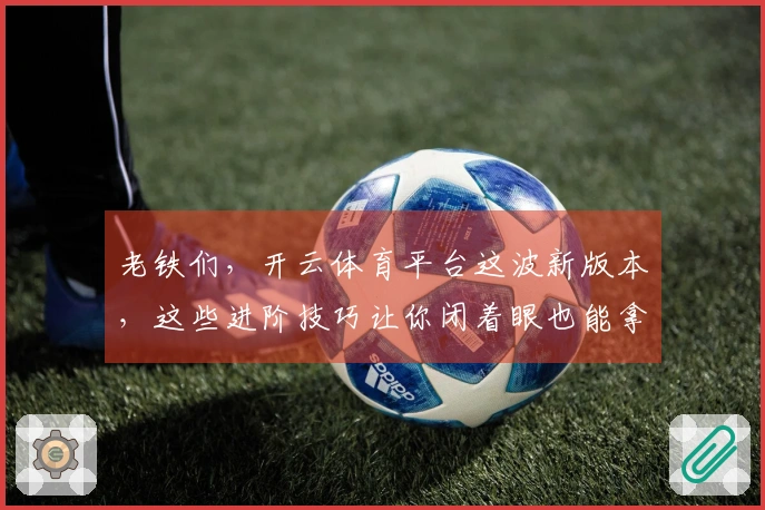 老铁们，开云体育平台这波新版本，这些进阶技巧让你闭着眼也能拿捏！