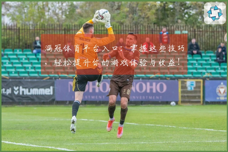 满冠体育平台入口：掌握这些技巧，轻松提升你的游戏体验与收益！
